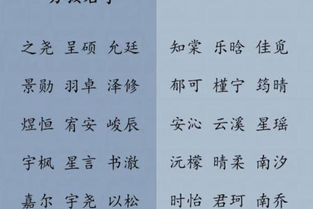 2019年6月1号子时出生的男孩要怎么起名字姓名