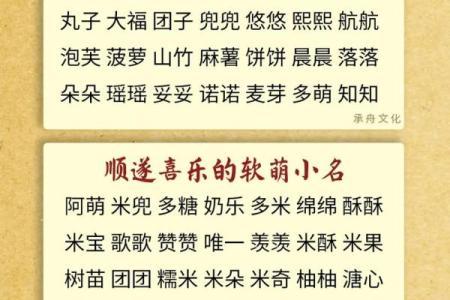 2019年5月17号子时出生的男孩如何起名姓名