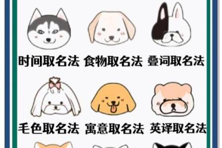 如何给2018年狗年出生的女宝宝取好听有寓意的名字？-华易网姓名